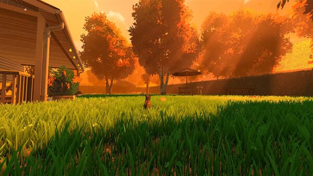 Hình ảnh trong game Copycat v1.0.4-P2P