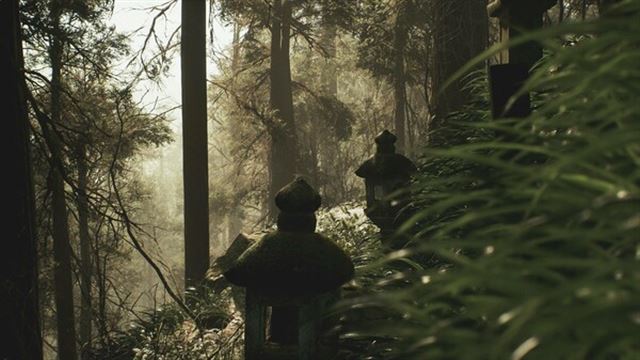 Hình ảnh trong game Lushfoil Photography Sim v20250930-P2P