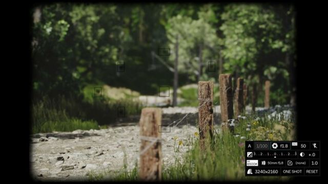 Hình ảnh trong game Lushfoil Photography Sim v20250711-P2P