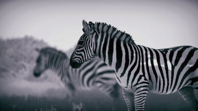 Hình ảnh trong game Seclusa-TENOKE