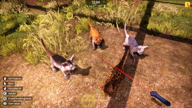 Hình ảnh trong game Animal Shelter 2 v1.0.32-P2P