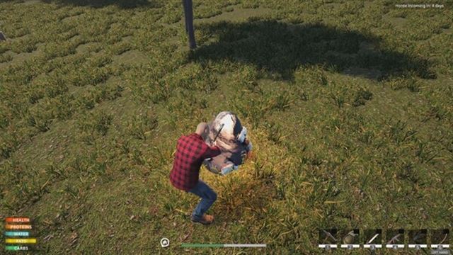 Hình ảnh trong game Lost Flight Survival-TENOKE