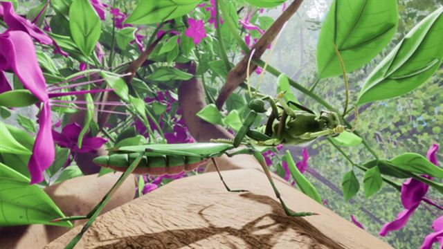 Hình ảnh trong game Nature And LD On Nectar Peacock Jumping Spider-TENOKE