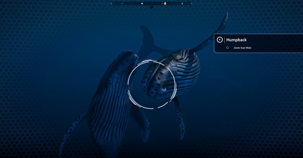 Hình ảnh trong game Beyond Blue v1.7.17798-P2P