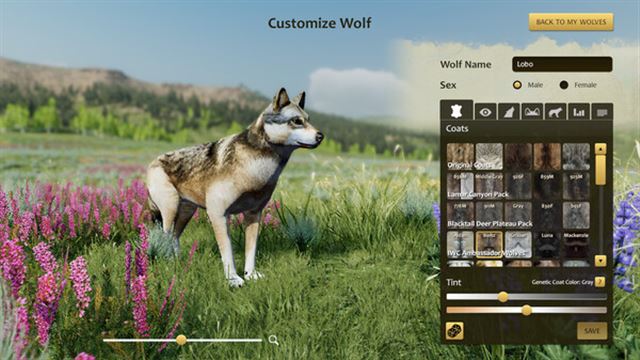 Hình ảnh trong game WolfQuest Anniversary Edition v3.0.1d-P2P